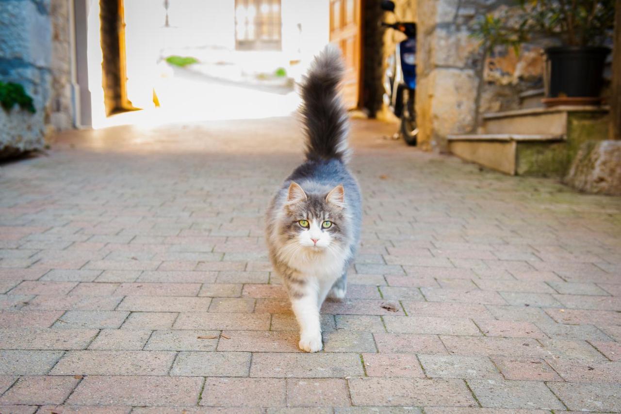 Tourist Farm Skerlj Villa Dutovlje ภายนอก รูปภาพ